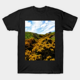 Scotland in May T-Shirt